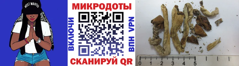 Галлюциногенные грибы ЛСД  купить  цена  Эртиль 